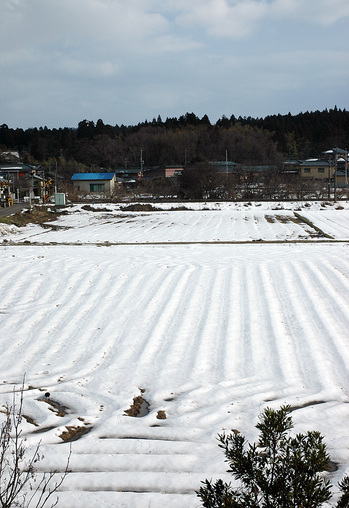 窓からの里山風景20110220.jpg