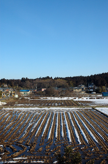 窓からの里山風景20110222.jpg