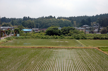 窓からの里山風景20110606.jpg