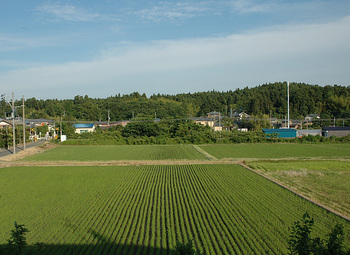窓からの里山風景20110615.jpg