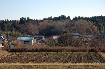 窓からの里山風景20111214.jpg