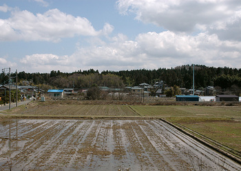 窓からの里山風景20120412.jpg
