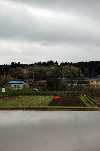 窓からの里山風景20120427.jpg