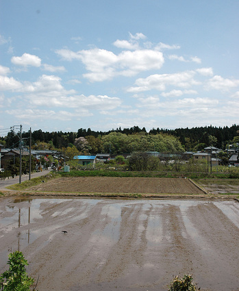 窓からの里山風景20120501-01.jpg