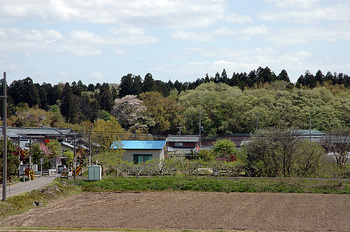 窓からの里山風景20120501-03.jpg